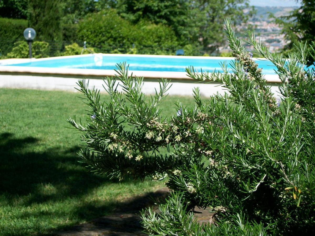 B&B Luna Blu Montesilvano Marina Dış mekan fotoğraf