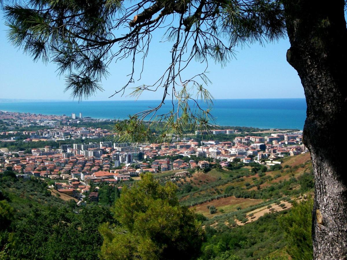 B&B Luna Blu Montesilvano Marina Dış mekan fotoğraf