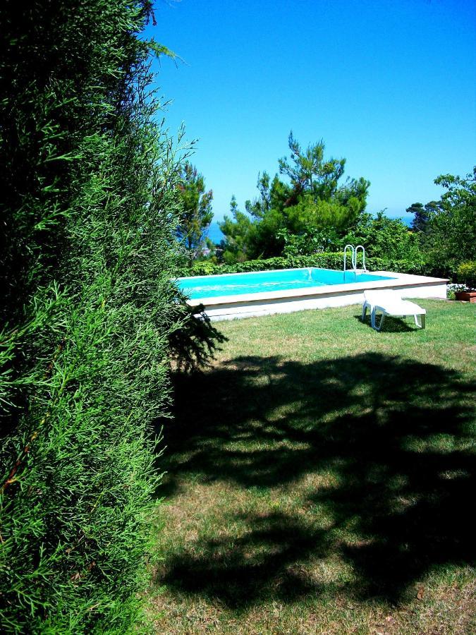 B&B Luna Blu Montesilvano Marina Dış mekan fotoğraf