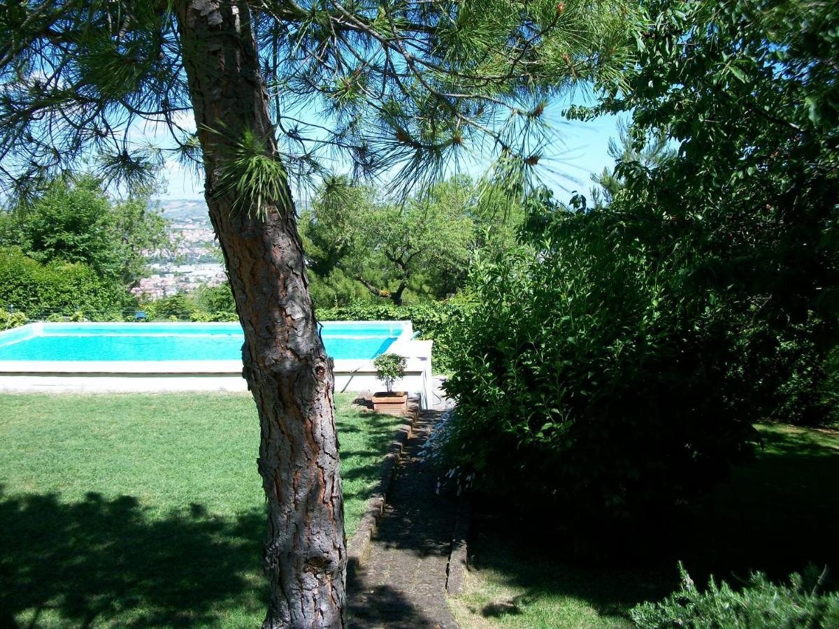B&B Luna Blu Montesilvano Marina Dış mekan fotoğraf